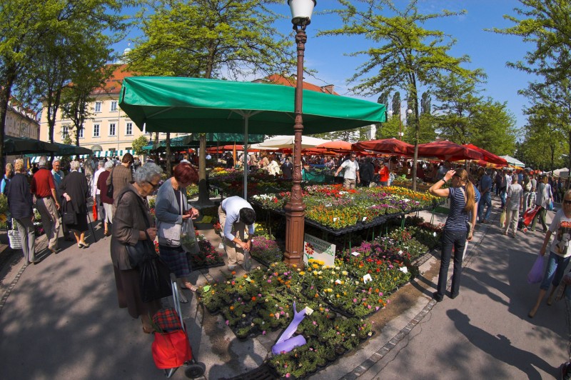 Съботен пазар в центъра